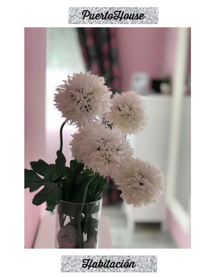 הוילה אל פוארטו דה סנטה מריה Puertohouse מראה חיצוני תמונה